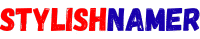 StylishNamer.com logo